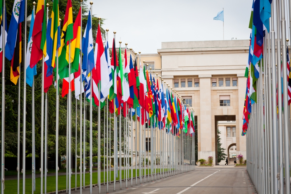Country flags