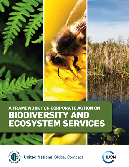 A Framework for Corporate Action on Biodiversity and Ecosystem